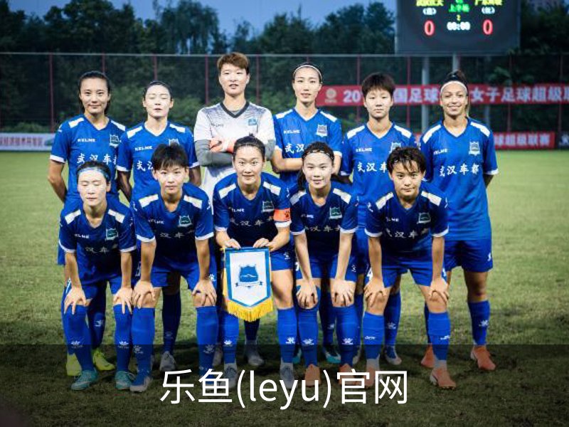 乐鱼(leyu)官网概况